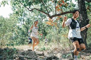 BIB: 
                            <button type="button" onclick="openModal(26104415)" class="btn btn-primary btn-sm float-right btn-popup" data-toggle="modal" data-target=".modal-high-quality">
                        <i class="fas fa-shopping-cart"></i> Add to Cart
                    </button>
                                            <button type="button" onclick="isThisMe(26104415, true)" class="btn btn-success btn-sm float-right btn-popup btn-isme hidden" data-toggle="tooltip" data-placement="bottom" title="นี่คือรูปของคุณใช่ไหม คลิกที่นี่เพื่อเอาเข้าอัลบั้ม">
                        <i class="fas fa-plus"></i> Add to album
                    </button>
                    <button type="button" onclick="isThisMe(26104415, false)" class="btn btn-warning btn-sm float-right btn-popup btn-isnotme hidden">
                        <i class="fas fa-ban"></i> Remove from album
                    </button>